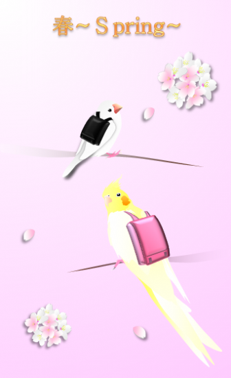 春~Spring~(2) ポストカード オカメインコ - 小鳥雑貨専門のお店 スウィート・バーディー・ブティック