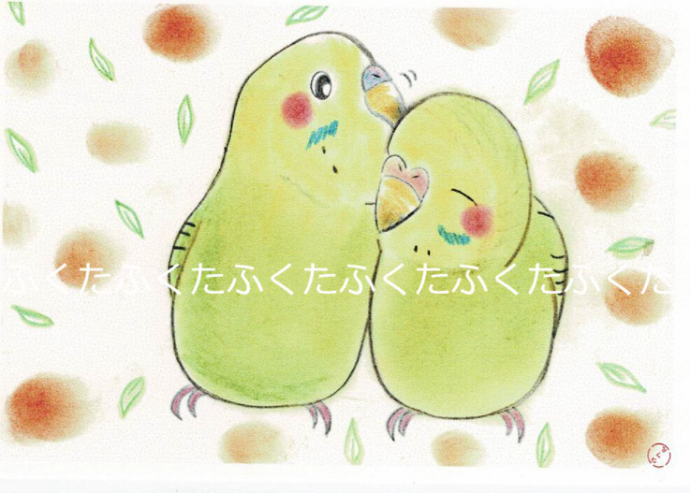 ポストカード かゆい所ない? セキセイインコ