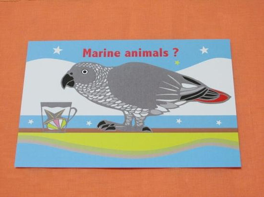 ポストカード 海の生き物 ヨウム - 小鳥雑貨専門のお店 スウィート・バーディー・ブティック