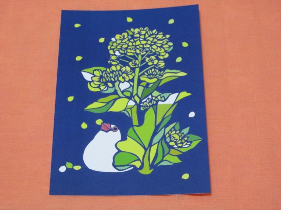 ポストカード 菜の花と白文鳥 - 小鳥雑貨専門のお店 スウィート・バーディー・ブティック