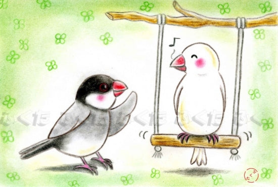 ポストカード 文鳥 次ぼくね - 小鳥雑貨専門のお店 スウィート・バーディー・ブティック