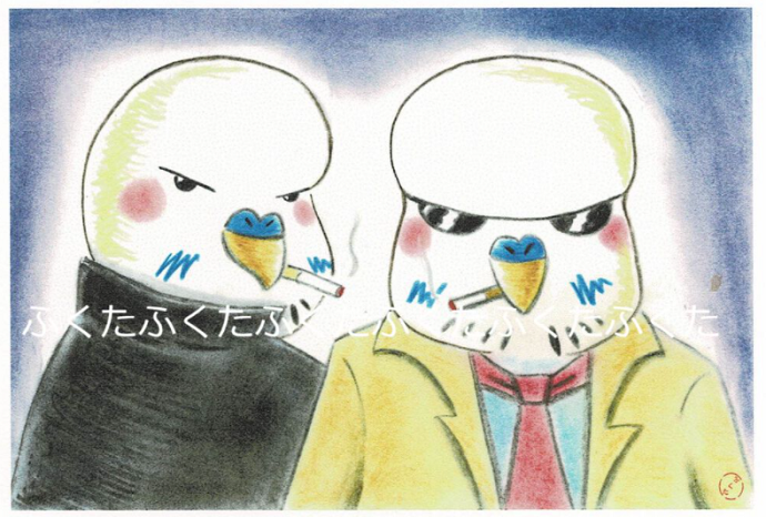 ポストカード ちょい悪 ジャンボ兄弟 大型セキセイインコ
