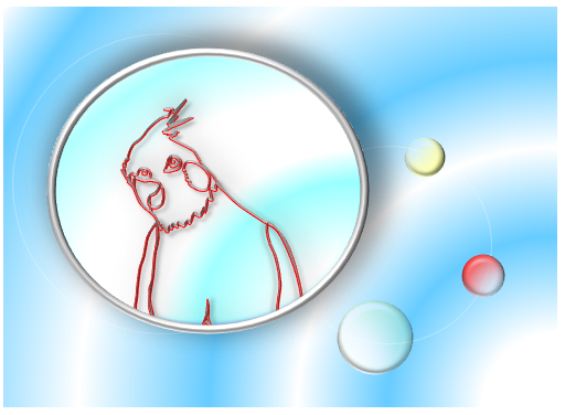 水オカメインコ ポストカード - 小鳥雑貨専門のお店 スウィート・バーディー・ブティック