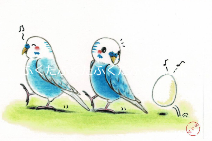 ポストカード なんだ なんだ? セキセイインコ