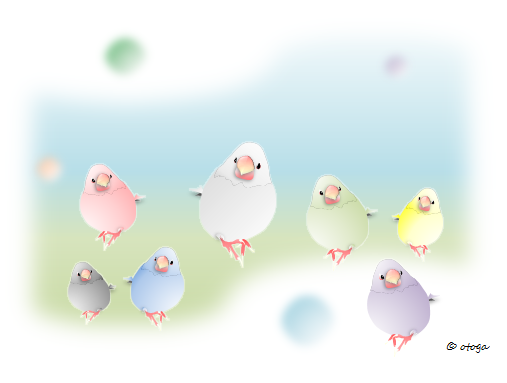 なないろぶんちょ (文鳥) ポストカード - 小鳥雑貨専門のお店 スウィート・バーディー・ブティック