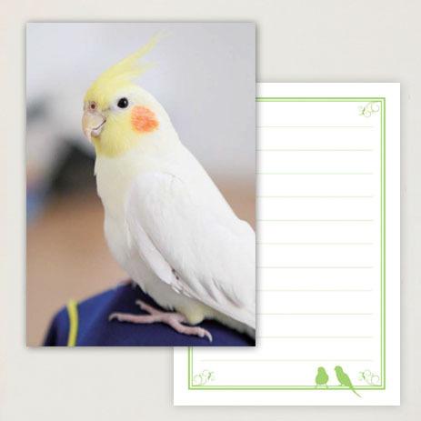 メモ帳 オザ兵長 オカメインコ - 小鳥雑貨専門のお店 スウィート・バーディー・ブティック