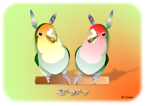 インディアンインコ (コザクラインコ) ポストカード - 小鳥雑貨専門のお店 スウィート・バーディー・ブティック