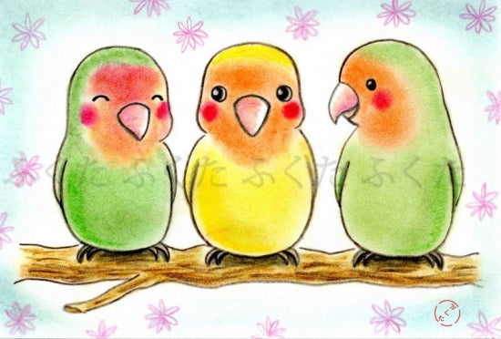 ポストカード ポストカード おしゃべり コザクラインコ - 小鳥雑貨専門のお店 スウィート・バーディー・ブティック