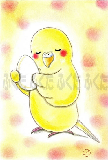 ポストカード セキセイインコ 私の大切な宝物 - 小鳥雑貨専門のお店 スウィート・バーディー・ブティック