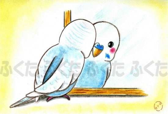 ポストカード セキセイインコ 君、だあれ? - 小鳥雑貨専門のお店 スウィート・バーディー・ブティック