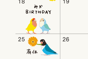 コザクラインコ&ボタンインコ シール スモール - 小鳥雑貨専門のお店 スウィート・バーディー・ブティック