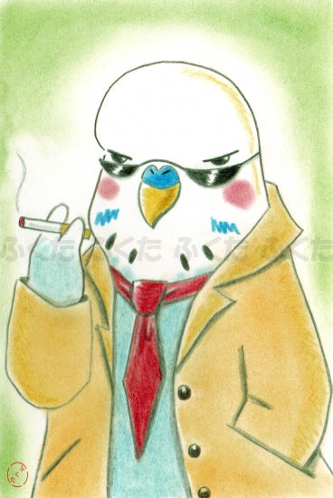 ポストカード ジャンボセキセイインコ ダンディーさん - 小鳥雑貨専門のお店 スウィート・バーディー・ブティック