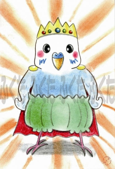 ポストカード セキセイインコ えっへん! - 小鳥雑貨専門のお店 スウィート・バーディー・ブティック