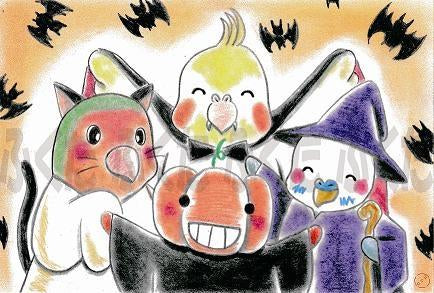 ポストカード コザクラインコ、オカメインコ & セキセイインコ お菓子くれなきゃ いたずらしちゃうぞ ハロウィン - 小鳥雑貨専門のお店 スウィート・バーディー・ブティック