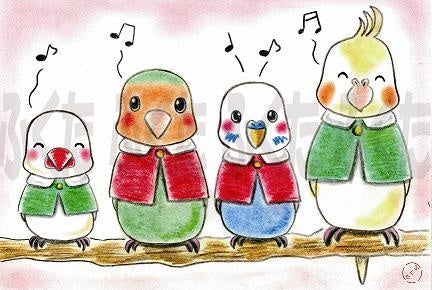 ポストカード 聖歌隊 文鳥、コザクラインコ、セキセイインコ、オカメインコ - 小鳥雑貨専門のお店 スウィート・バーディー・ブティック