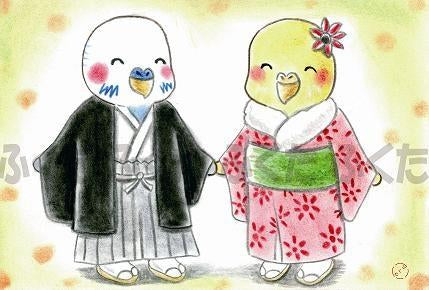 ポストカード 紋付き袴 セキセイインコ - 小鳥雑貨専門のお店 スウィート・バーディー・ブティック