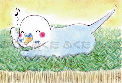 ポストカード わーい セキセイインコ - 小鳥雑貨専門のお店 スウィート・バーディー・ブティック