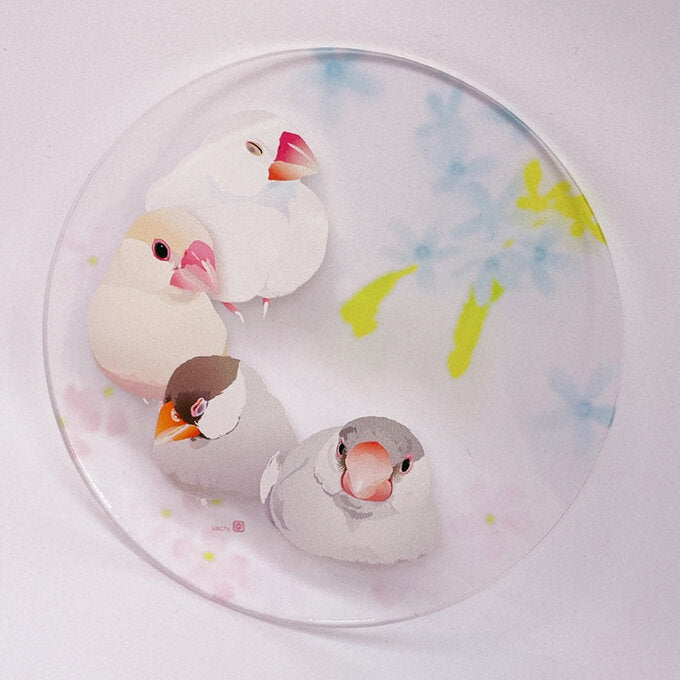 アクリルコースター とりアート まったり文鳥