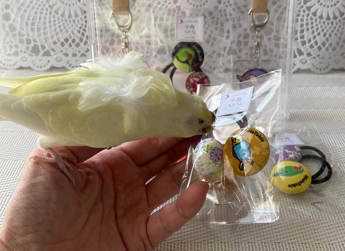 小鳥ヘアゴム E・コザクラインコ・イエロー