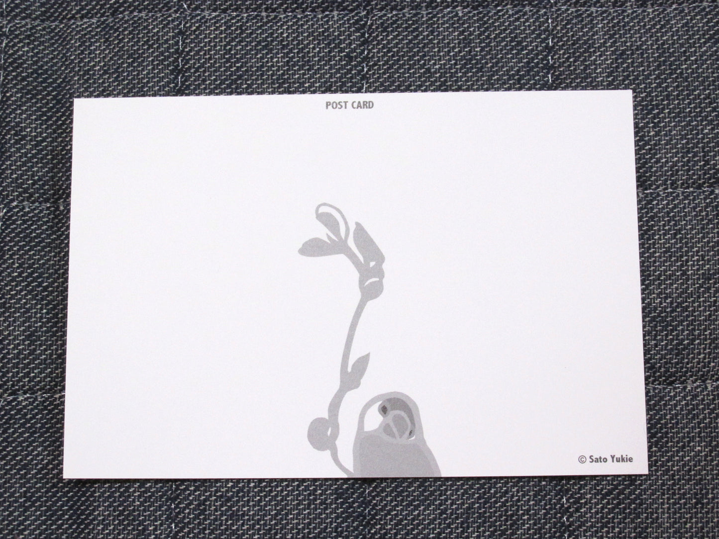 満月 ポストカード 文鳥