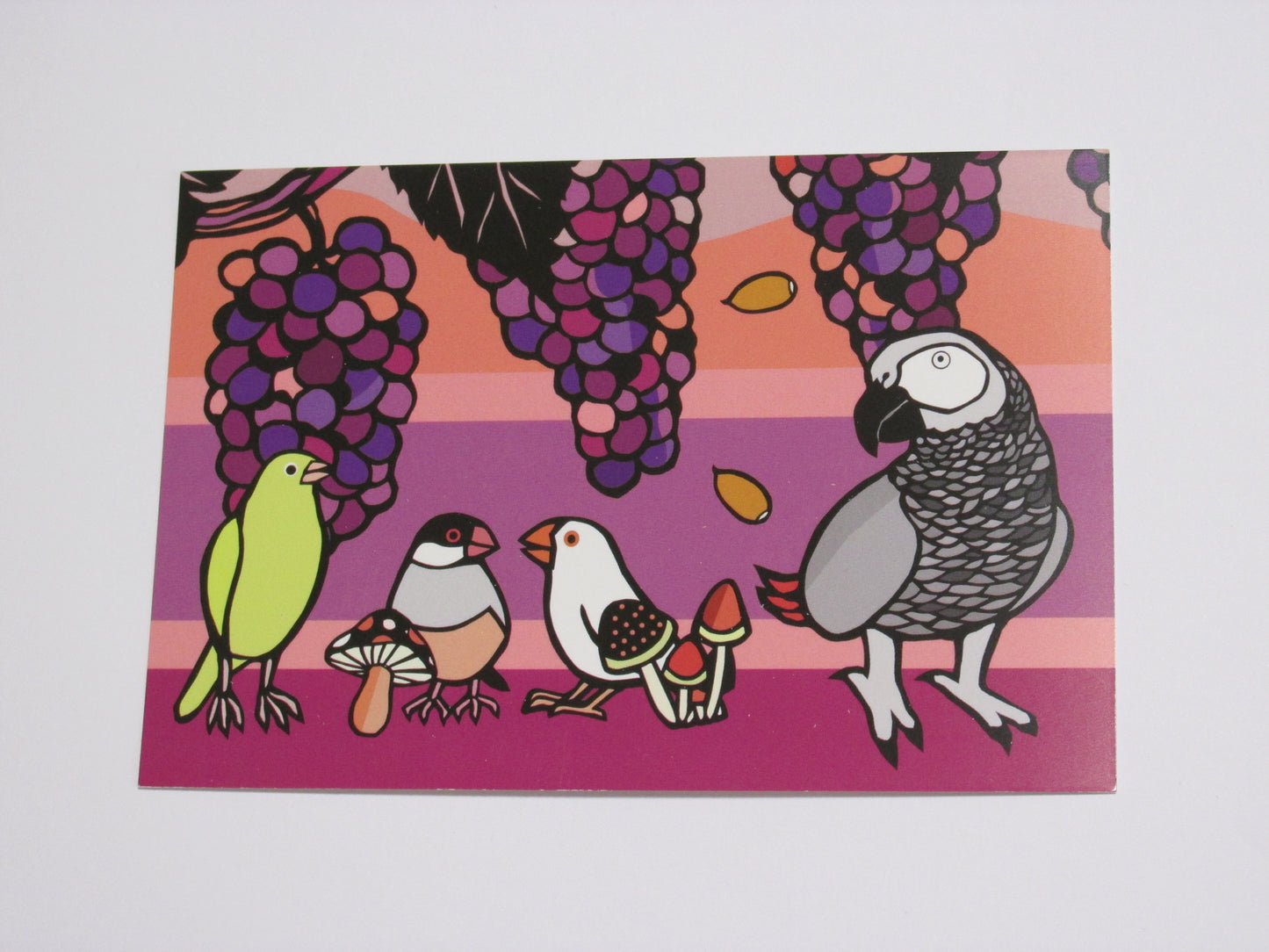 切り絵作家 サトウユキエ ポストカード 秋の収穫 ヨウム、文鳥、カナリア - Sweet Birdie Boutique