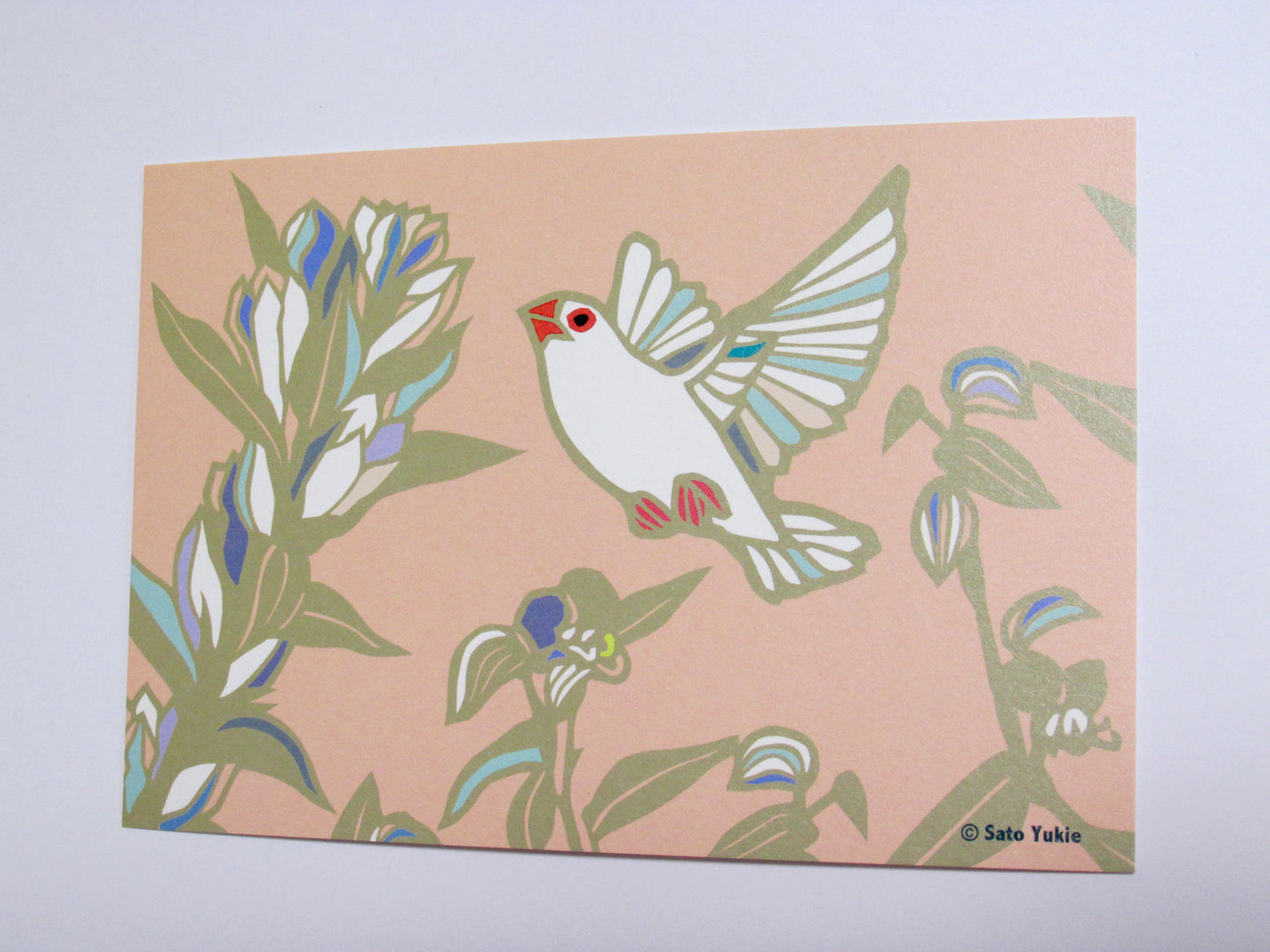 ポストカード 秋模様 白文鳥