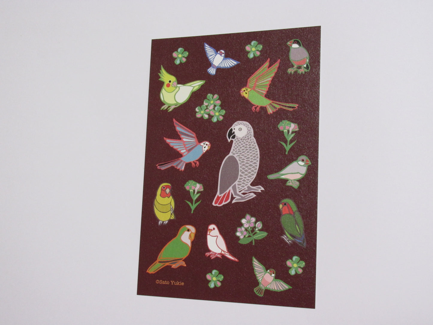 ポストカード 小鳥づくし 文鳥、オカメインコ、セキセイインコ、ヨウム、コザクラインコ、オキナインコ - Sweet Birdie Boutique