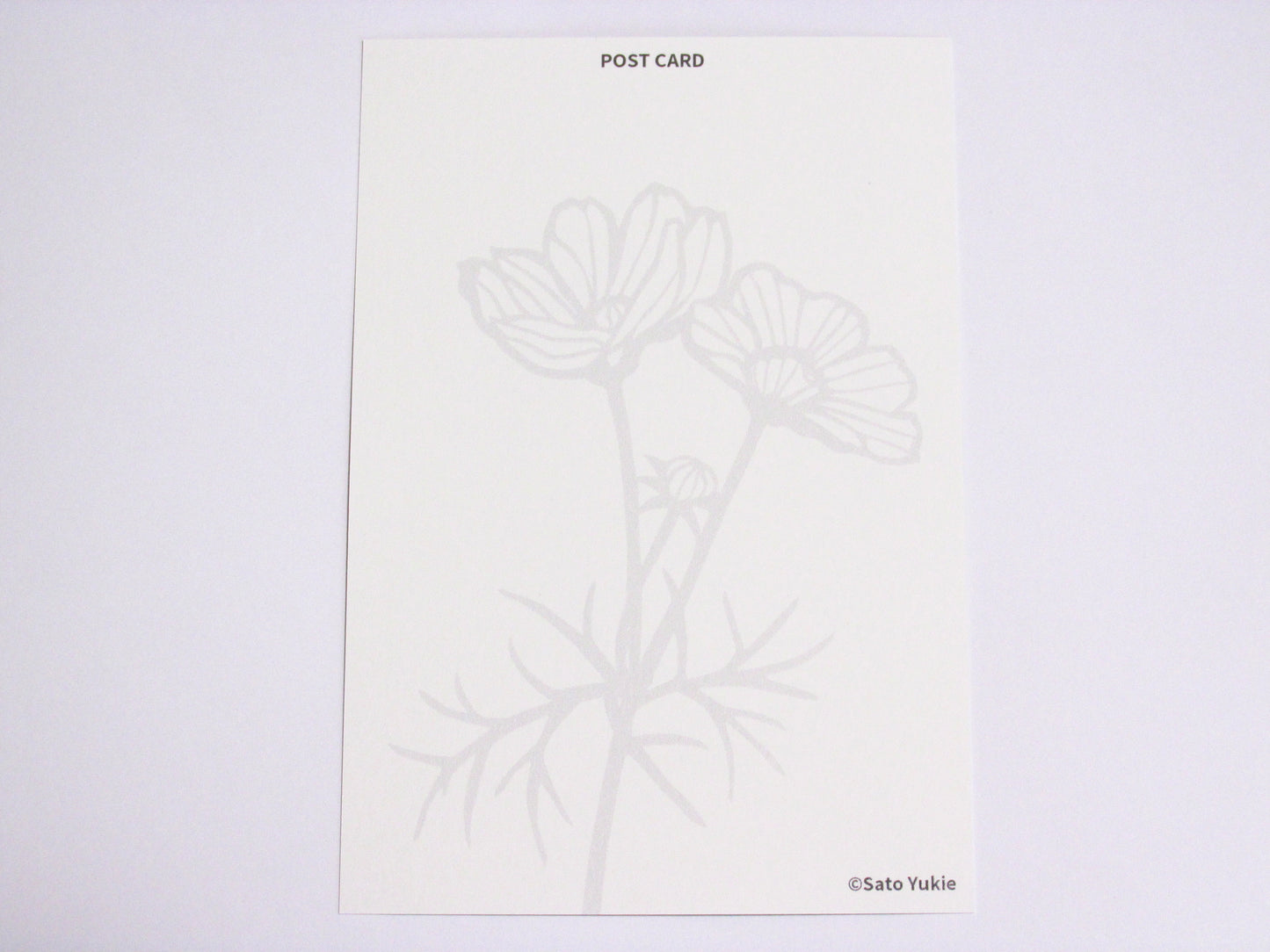 ポストカード 秋桜(コスモス)文鳥