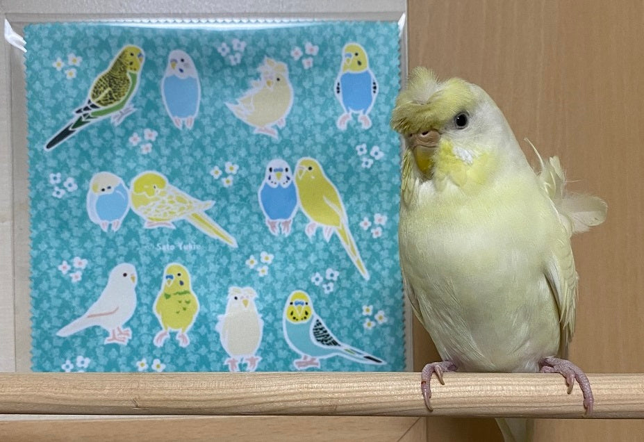 マイクロファイバークロス　セキセイインコ　フラワー　ワインレッド