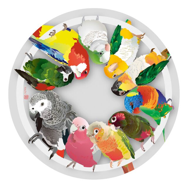 アクリルコースター ワカケホンセイインコ、ヨウム、シロハラインコ、ズグロシロハラインコ、モモイロインコ、オキナインコ、ロリキート、ウロコインコ、コンゴウインコ - 小鳥雑貨専門のお店 スウィート・バーディー・ブティック