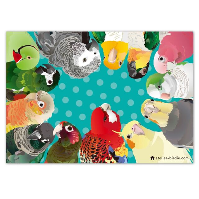 メモ帳 ワカケホンセイインコ、ヨウム、シロハラインコ、ズグロシロハラインコ、モモイロインコ、オキナインコ、オカメインコ、ロリキート、ウロコインコ、コンゴウインコ - 小鳥雑貨専門のお店 スウィート・バーディー・ブティック