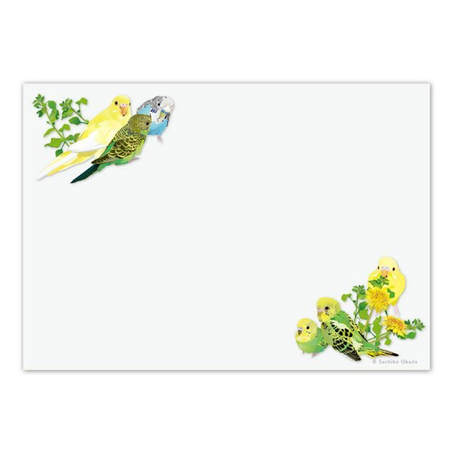 メモ帳 とりアート 初夏のセキセイ セキセイインコ