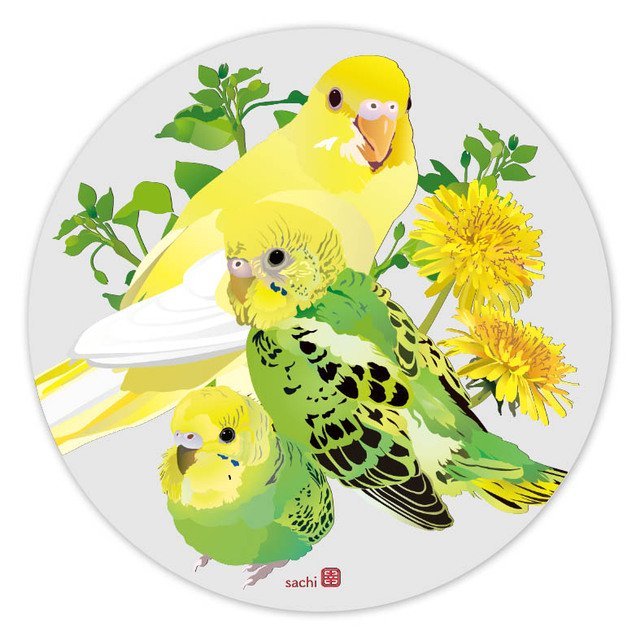 アクリルコースター とりアート セキセイベビー セキセイインコ