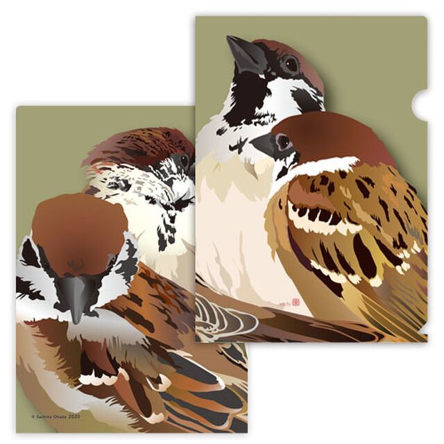 A4 クリアファイル 雀の姿 - 小鳥雑貨専門のお店 スウィート・バーディー・ブティック