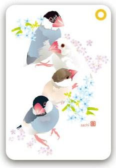 パスケース 文鳥 - 小鳥雑貨専門のお店 スウィート・バーディー・ブティック