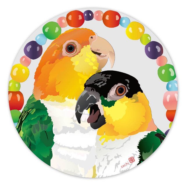 アクリルコースター とりアート シロハラ×トイ シロハラインコ ズグロシロハラインコ