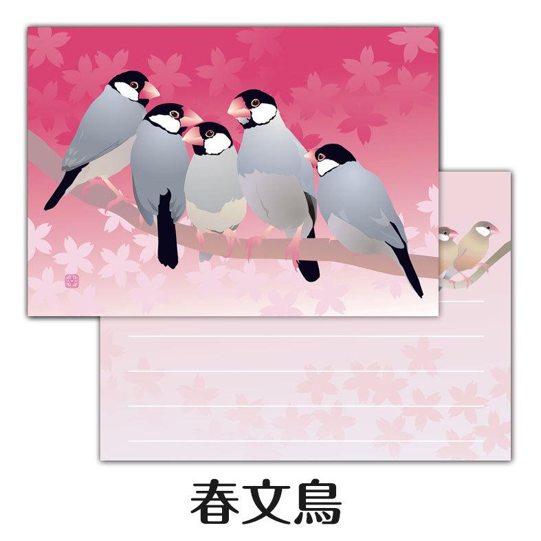 メモ帳 春文鳥 - 小鳥雑貨専門のお店 スウィート・バーディー・ブティック