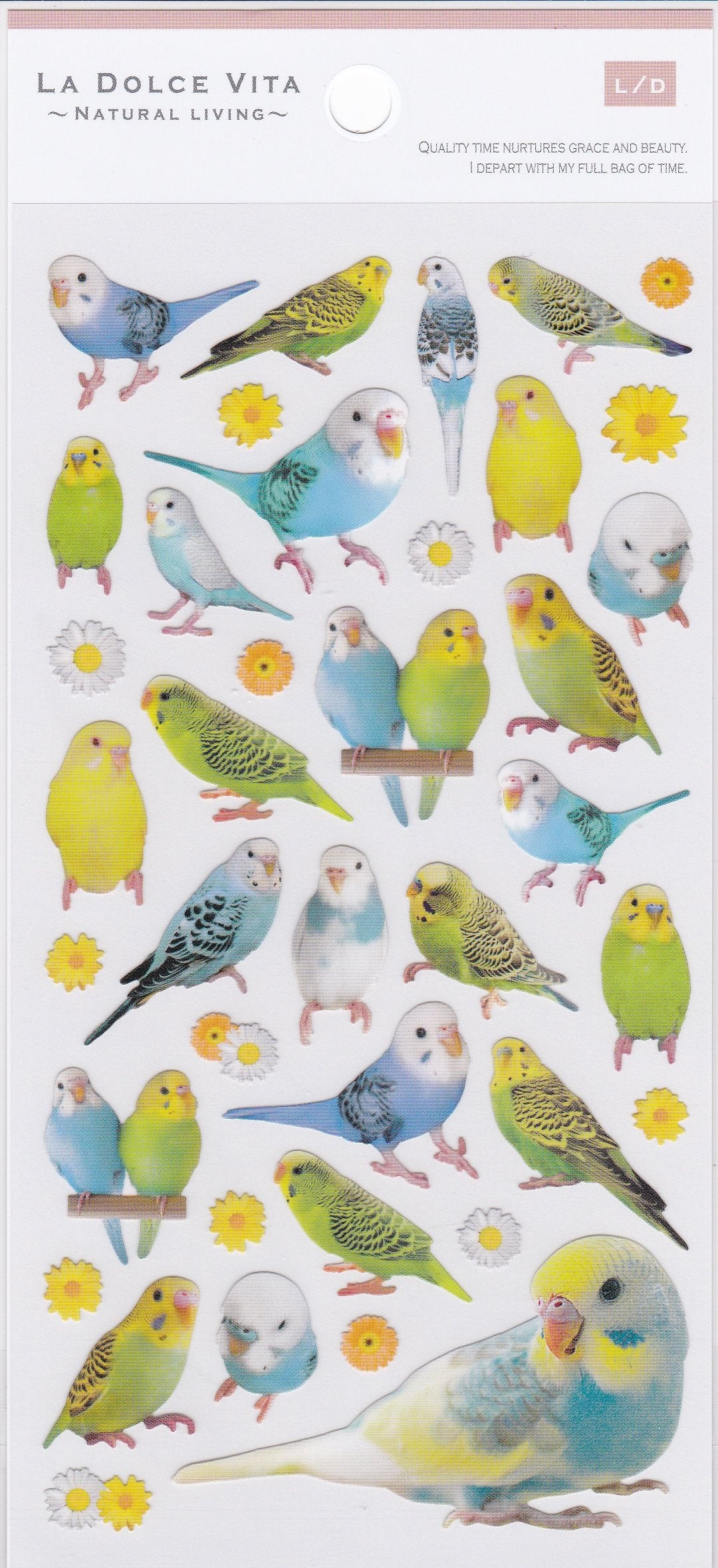 LA DOLCE VITA セキセイインコのシール - 小鳥雑貨専門のお店 スウィート・バーディー・ブティック