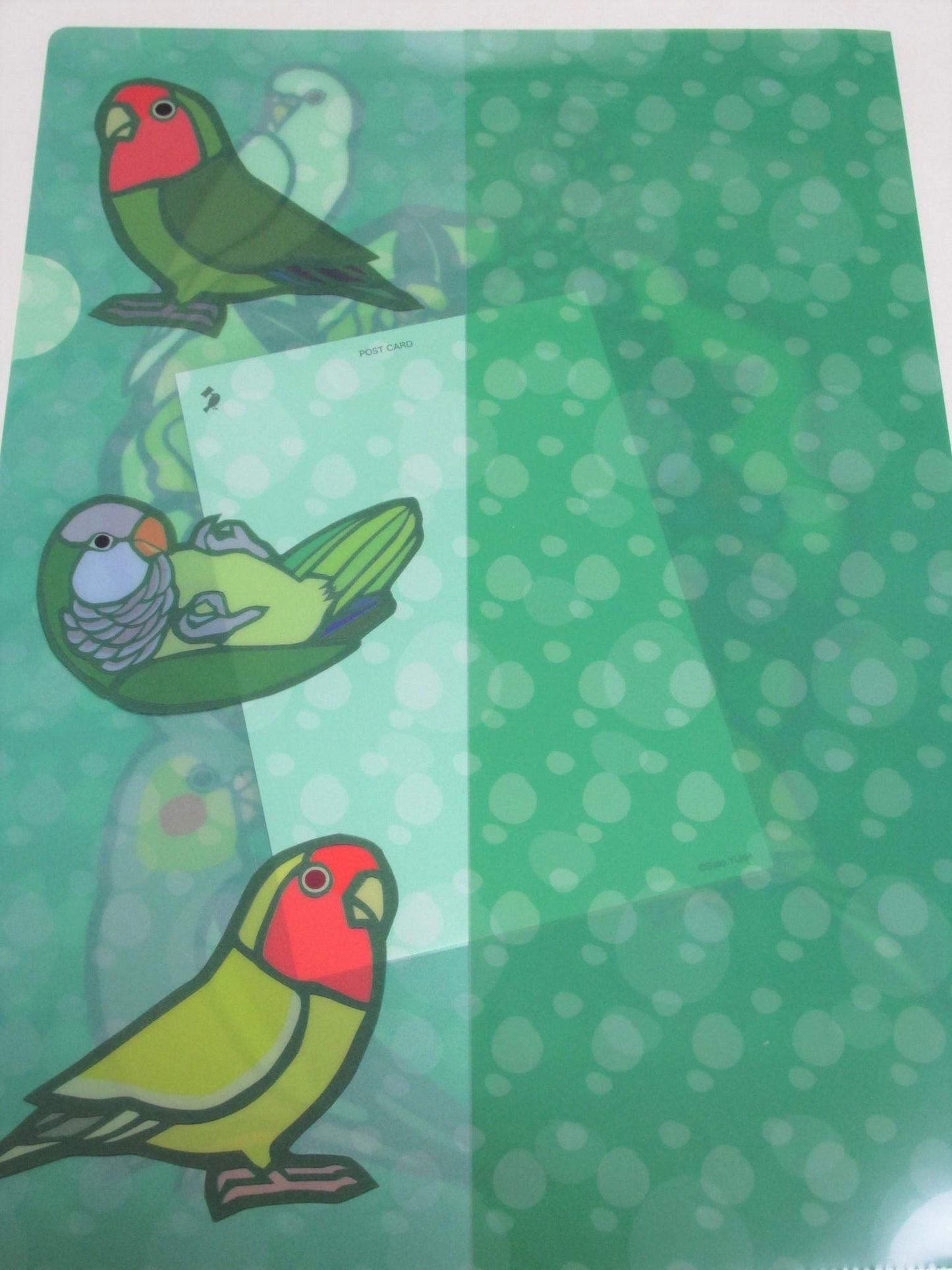 クリアファイル A4サイズ 緑の季節 セキセイインコ、文鳥、ボタンインコ、オカメインコ、オキナインコ、コザクラインコ - 小鳥雑貨専門のお店 スウィート・バーディー・ブティック