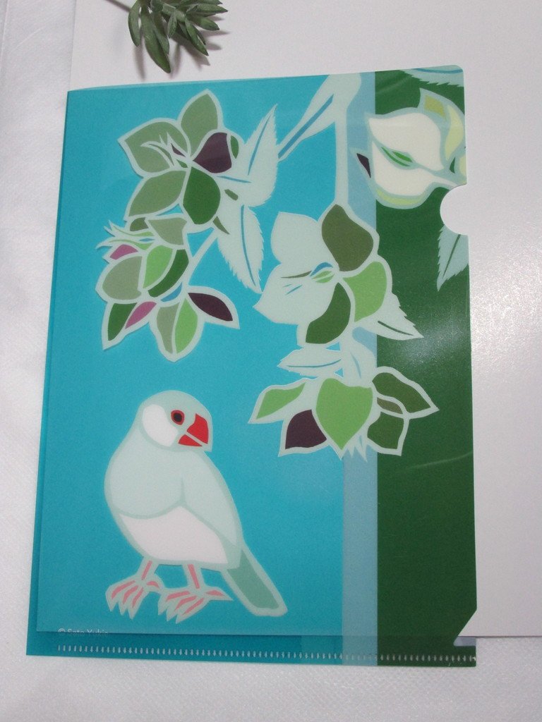 クリアファイル A5サイズ クリスマスローズと文鳥 - 小鳥雑貨専門のお店 スウィート・バーディー・ブティック
