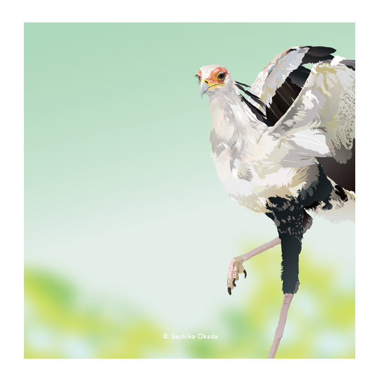 付箋　とりアート　ヘビクイワシ　Green - Sweet Birdie Boutique