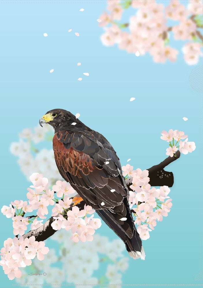 A4 クリアファイル　とりアート ハリスホーク