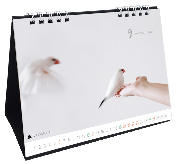 （予約販売）2026年版　今日のぶんこカレンダー 卓上タイプ　文鳥