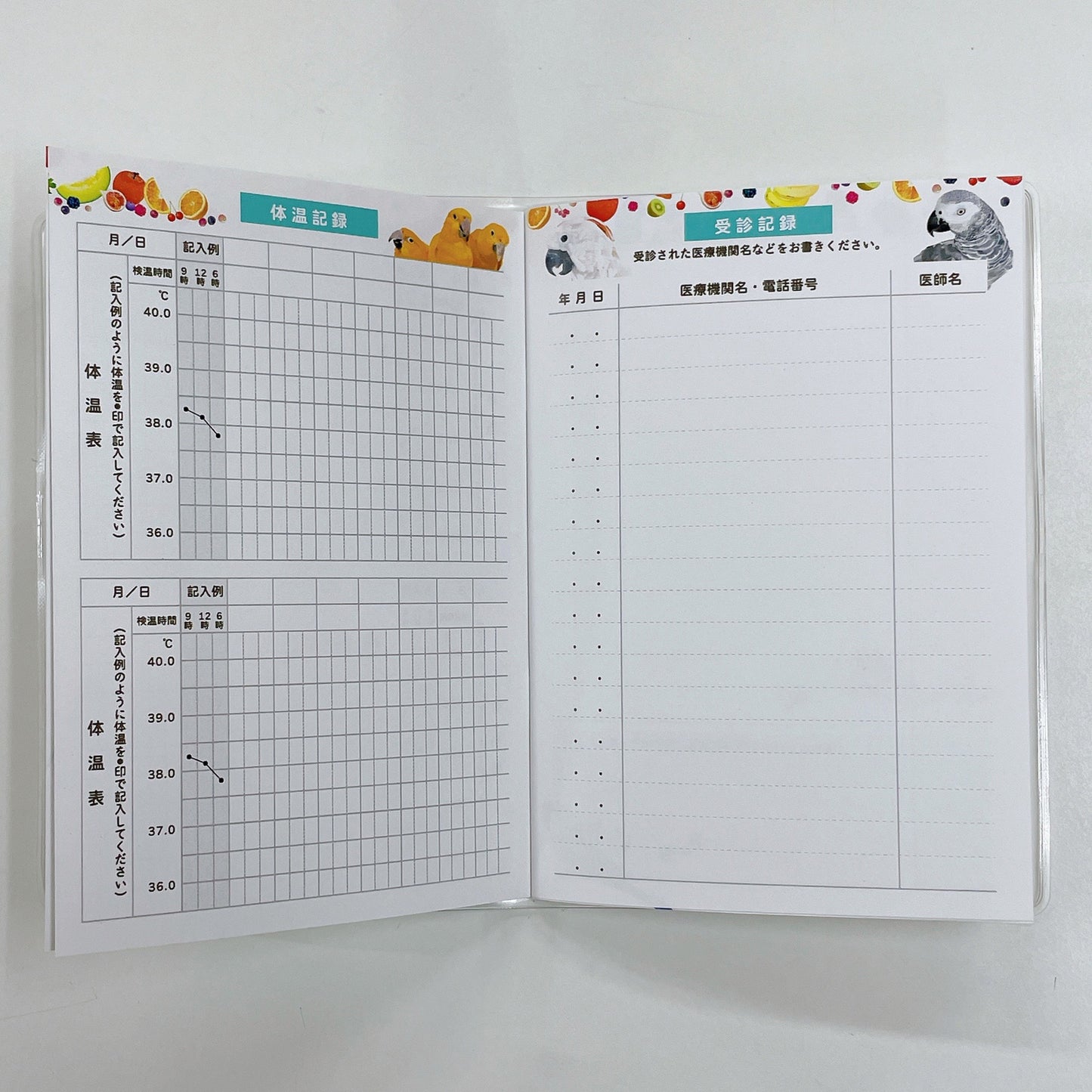 お薬手帳　とりアート　ロリキート - Sweet Birdie Boutique