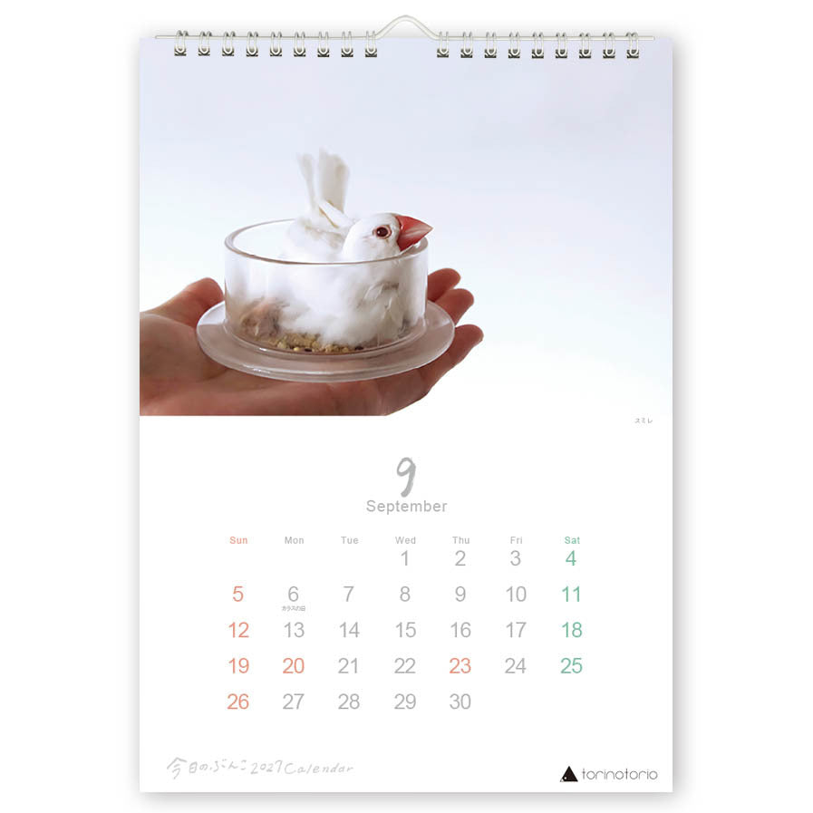 （予約販売）2027年版  今日のぶんこ  A4壁掛けカレンダー  文鳥