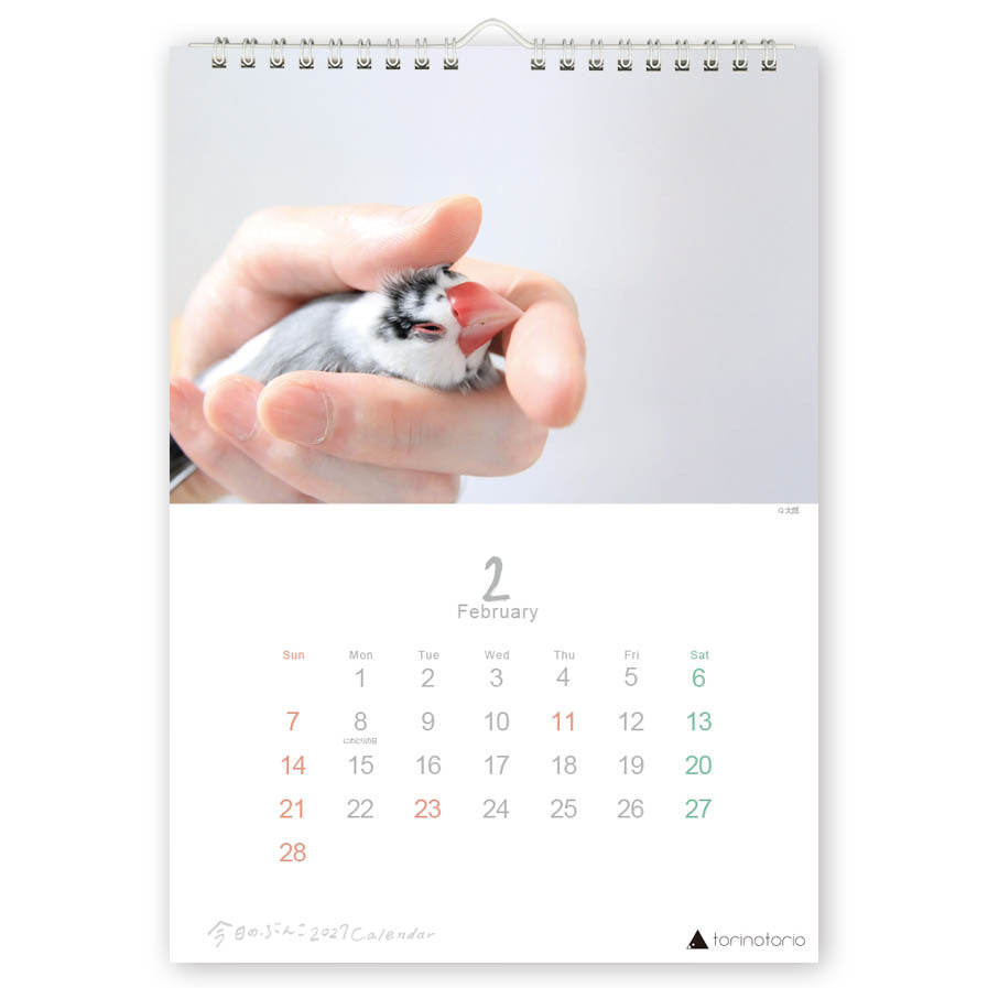 （予約販売）2027年版  今日のぶんこ  A4壁掛けカレンダー  文鳥