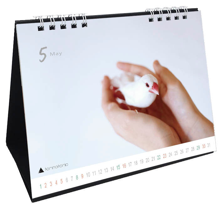（予約販売）2027年版　今日のぶんこカレンダー 卓上タイプ　文鳥