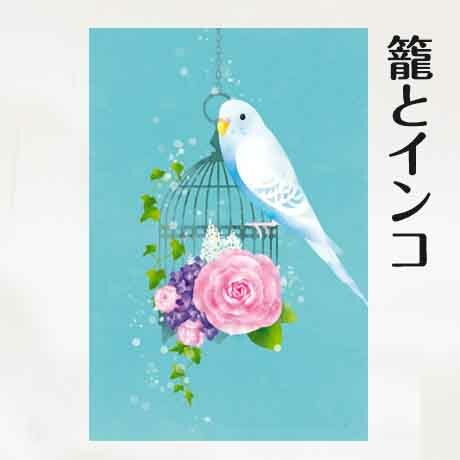 ポストカード　セキセイインコ　5種5枚セット