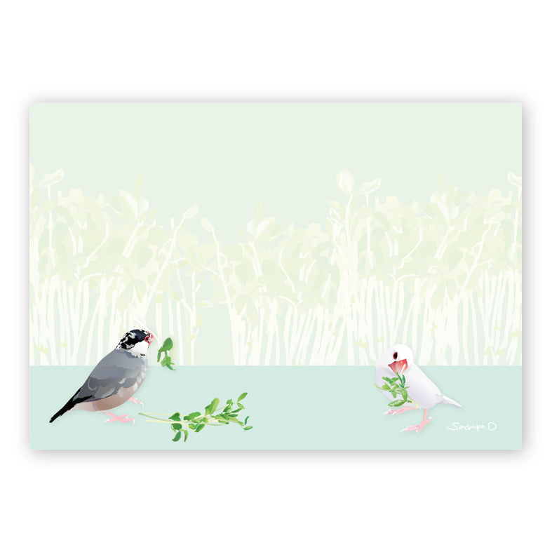 メモ帳　とりアート　豆苗文鳥