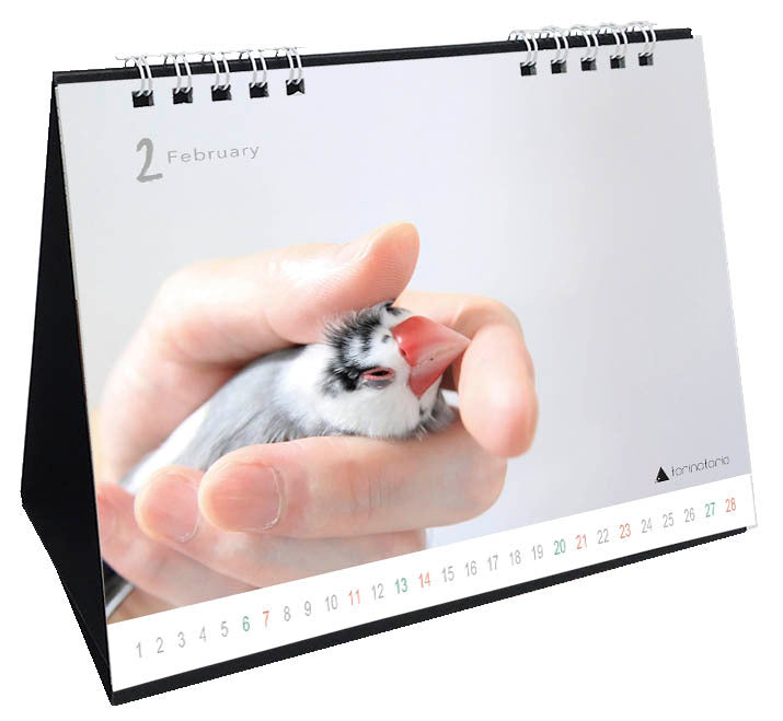 （予約販売）2027年版　今日のぶんこカレンダー 卓上タイプ　文鳥